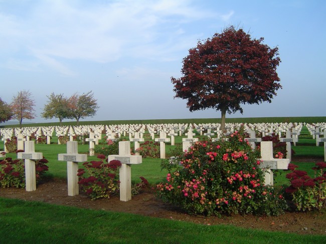 RÃ©sultat de recherche d'images pour "roses et champs de bataille"